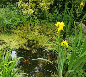 Photo 1- click for photo gallery